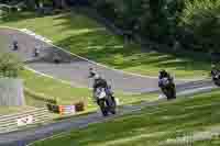 brands-hatch-photographs;brands-no-limits-trackday;cadwell-trackday-photographs;enduro-digital-images;event-digital-images;eventdigitalimages;no-limits-trackdays;peter-wileman-photography;racing-digital-images;trackday-digital-images;trackday-photos